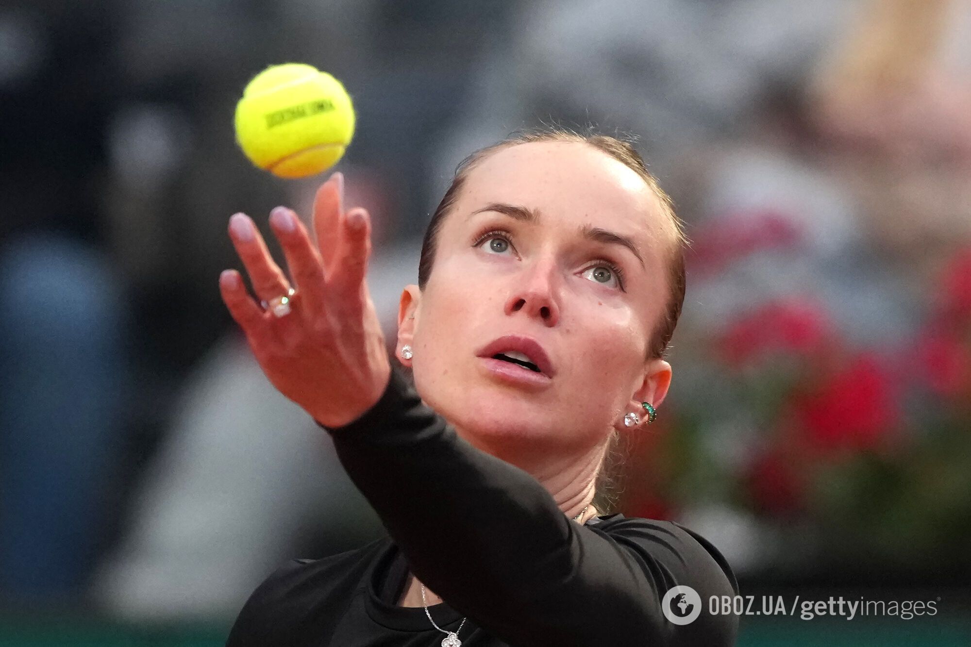 Где смотреть Свитолина – Швентек. Расписание трансляций полуфинала WTA 1000 в Риме