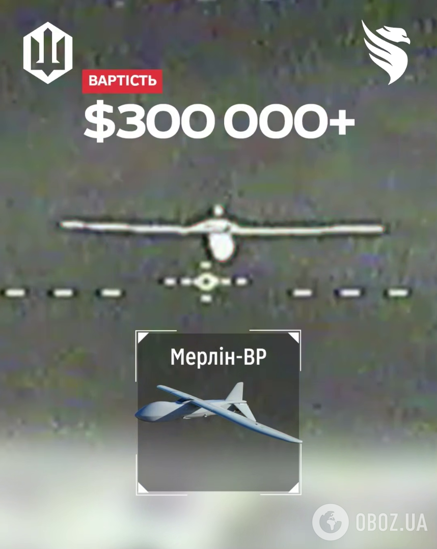 На Донетчине пограничники уничтожили вражеский разведдрон "Мерлин-ВР" стоимостью более $300 000. Видео