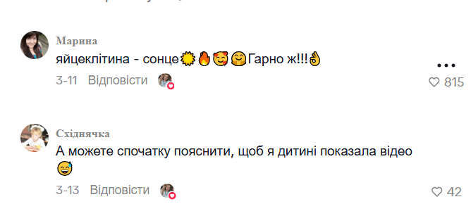 Звідки беруться діти? Пояснення 7-річного школяра стало вірусним: чому інтернет-користувачі хвалять його маму