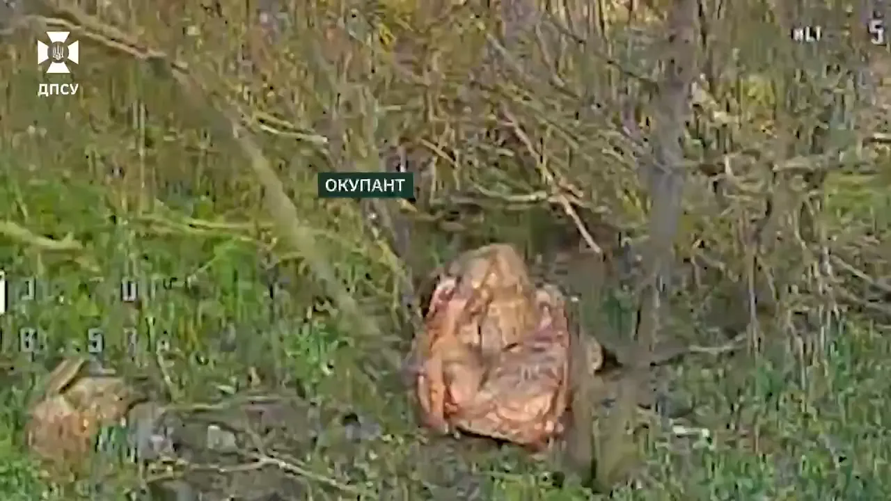 Прикордонники придушують спроби ворога прорватися на північ Харківщини: як працюють групи дронів. Відео