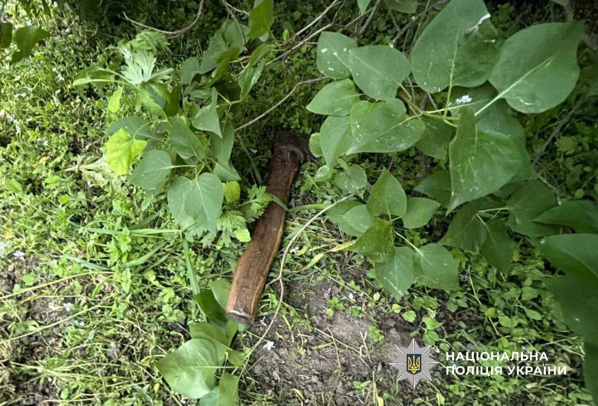 На Киевщине мужчина во время ссоры нанес несколько ударов топором сестре по голове. Подробности дела и фото