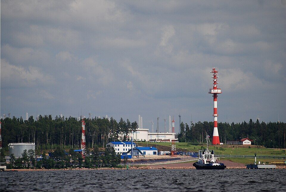 У Росії пожалілися на масовану атаку БПЛА на Ленінградську область: нібито почався пожар
