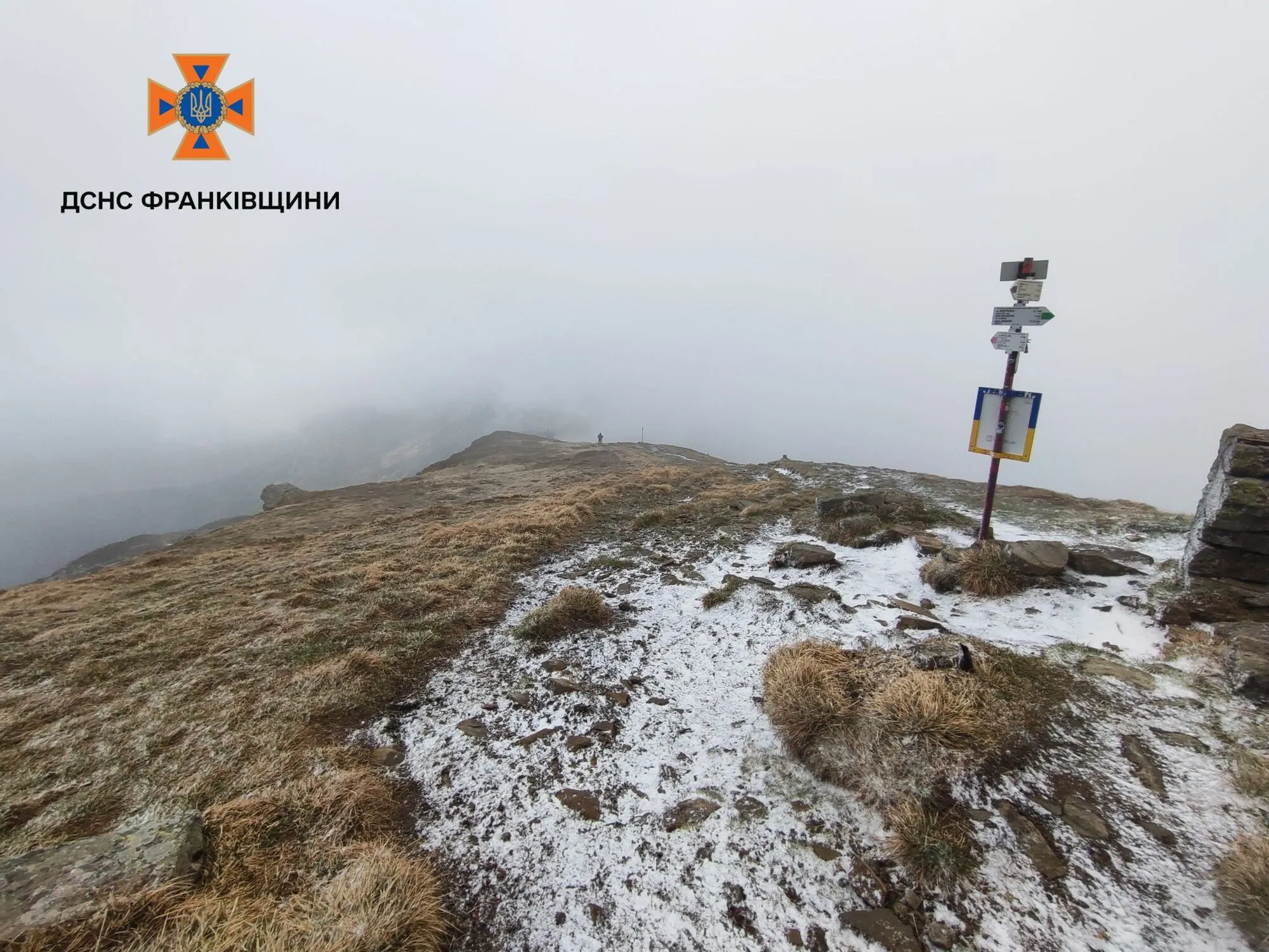 Ударил мороз и пошел снег: в Карпатах за несколько дней до лета погода устроила "сюрприз". Фото и видео