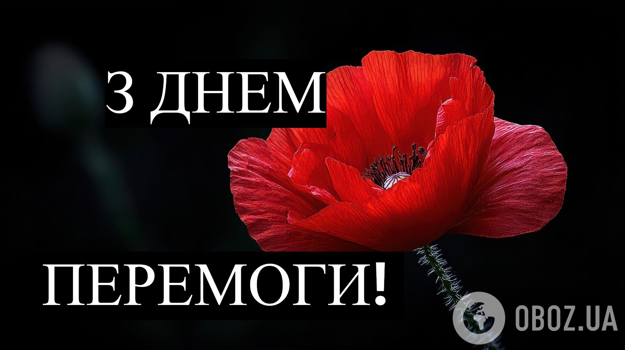 "Борітеся – поборете!" Гарні слова і листівки до Дня памʼяті та перемоги