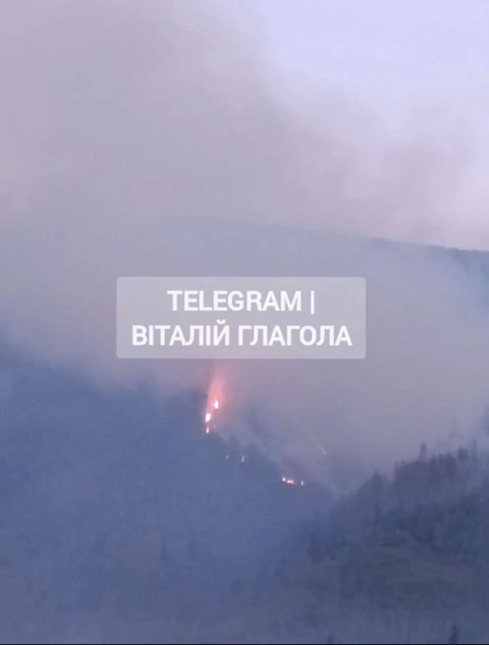 На Закарпатті вирує масштабна лісова пожежа: залучено рятувальників з кількох районів. Фото і відео