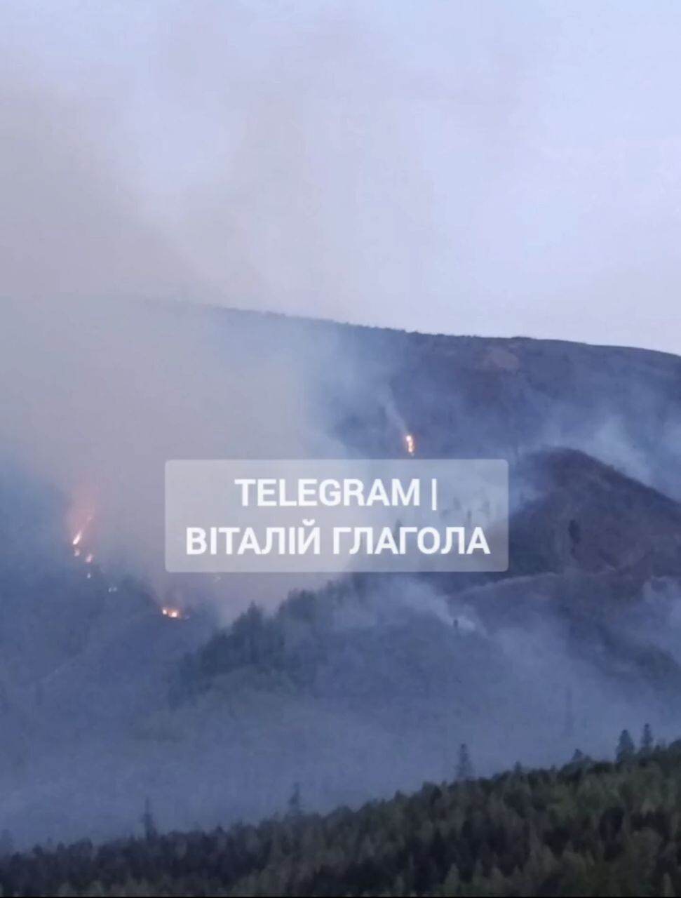 На Закарпатті вирує масштабна лісова пожежа: залучено рятувальників з кількох районів. Фото і відео