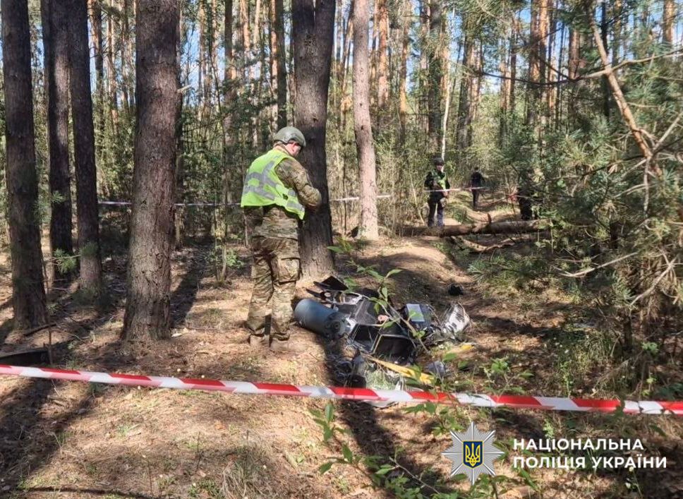 У Києві чоловік у лісі під час прогулянки знайшов "Шахед" із вцілілою бойовою частиною. Фото та відео