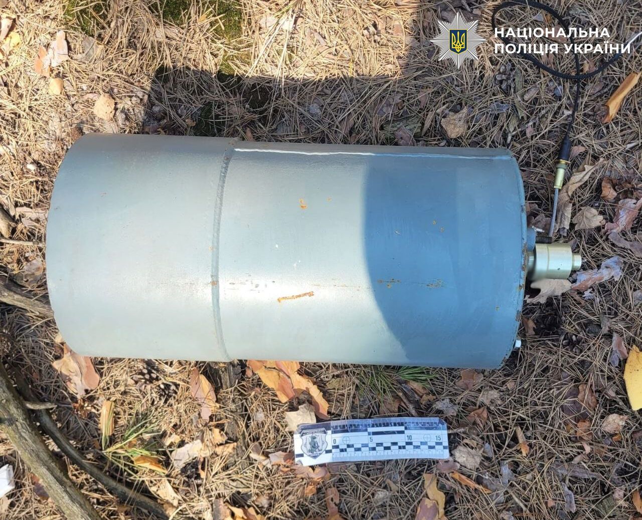 У Києві чоловік у лісі під час прогулянки знайшов "Шахед" із вцілілою бойовою частиною. Фото та відео