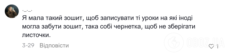 В сети дискуссия из-за странного конспекта по литературе: что сдал школьник и почему учительницу озадачила его тетрадь