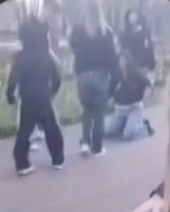 Заставляли стать на колени: в Польше избили 14-летнего украинца, делом занялась полиция