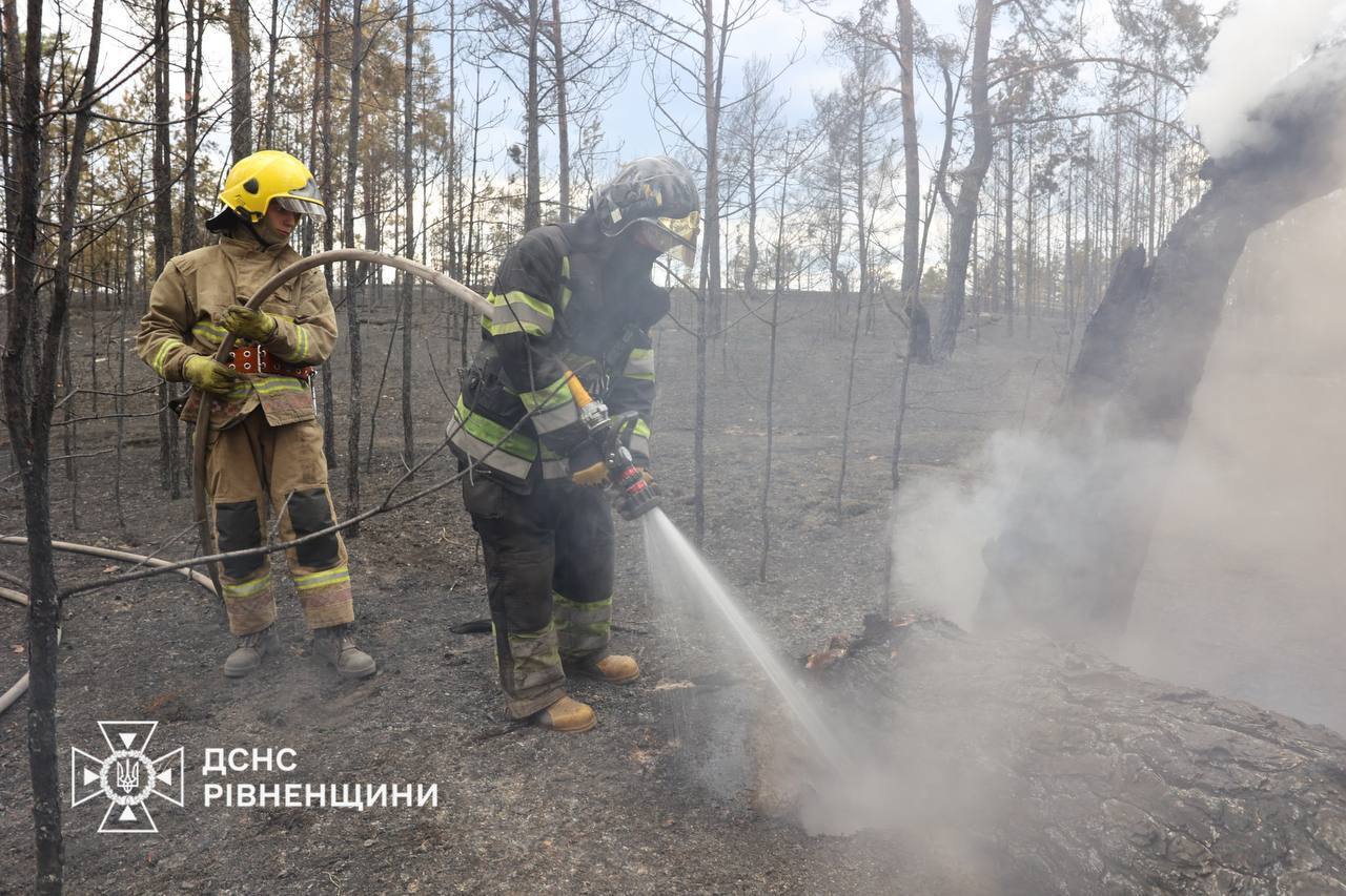 Применяются БпЛА и роботы: спасатели тушат 9 пожаров в четырех областях Украины. Фото