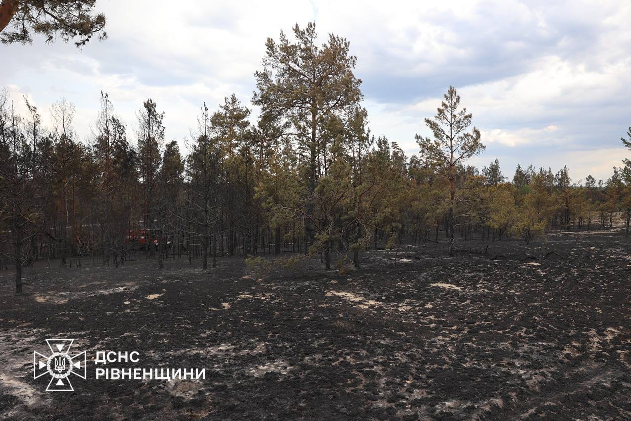Применяются БпЛА и роботы: спасатели тушат 9 пожаров в четырех областях Украины. Фото