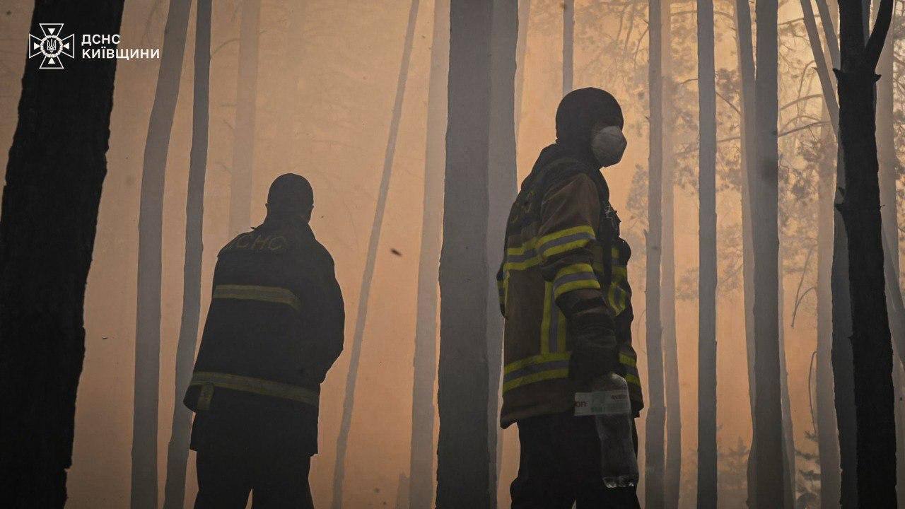 В Чернобыльской зоне вспыхнул масштабный лесной пожар. Подробности, фото и видео