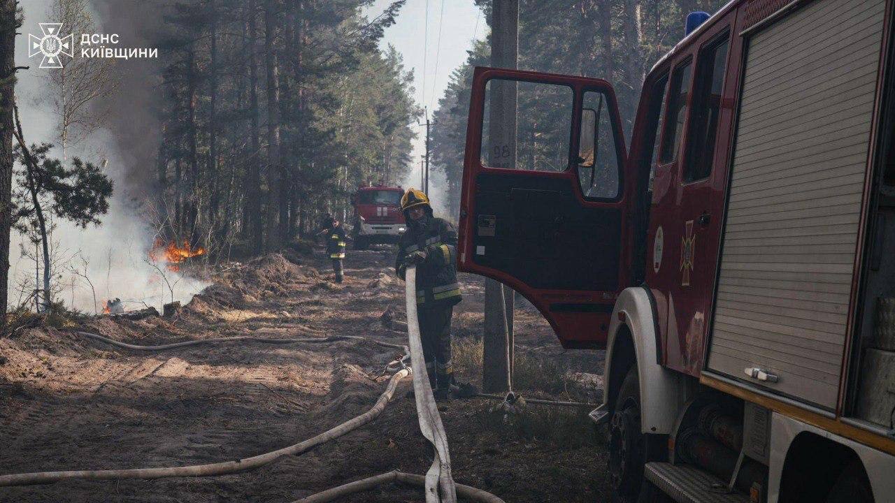 В Чернобыльской зоне вспыхнул масштабный лесной пожар. Подробности, фото и видео