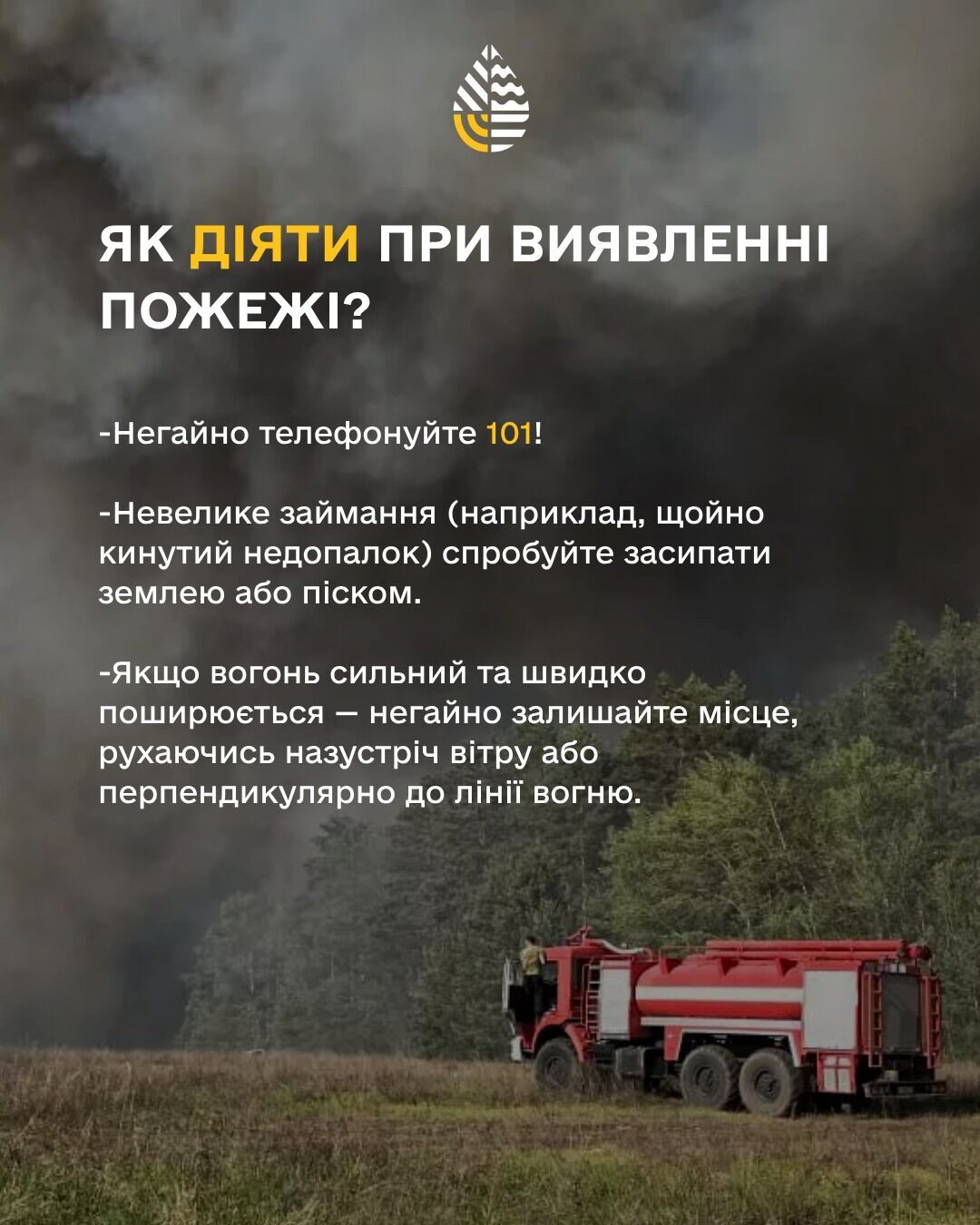 Одна іскра знищує гектари лісу: українців попередили, як діяти при виявленні пожежі на відкритій місцевості. Фото