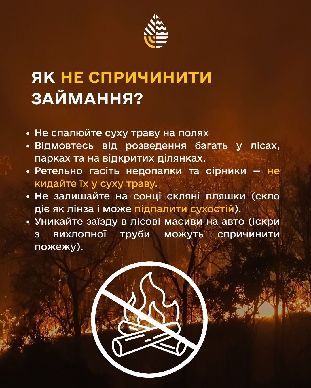 Одна іскра знищує гектари лісу: українців попередили, як діяти при виявленні пожежі на відкритій місцевості. Фото