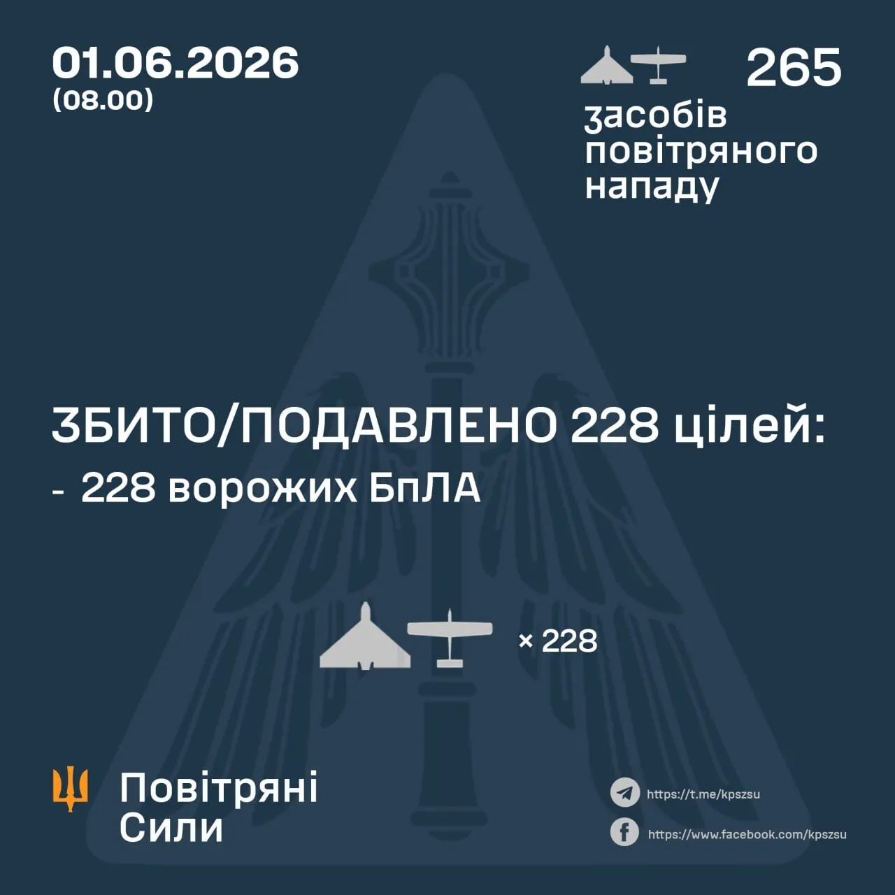 Російські війська атакували Україну 265 дронами: сили ППО знешкодили 228 з них