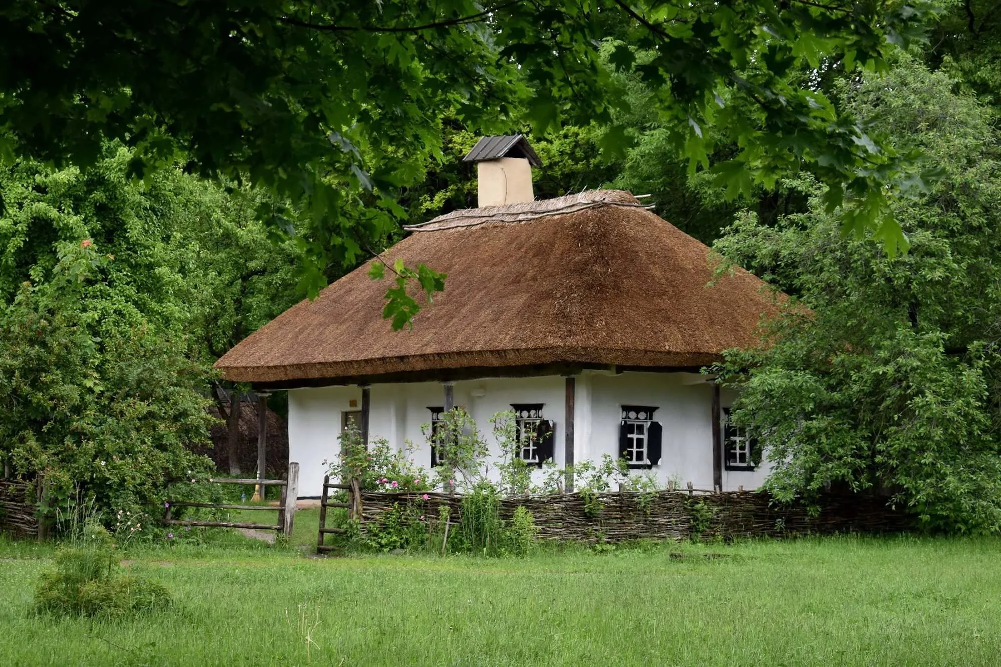 Краєвиди, що вразять: п'ять найкращих місць для фотосесій в Києві влітку 2026