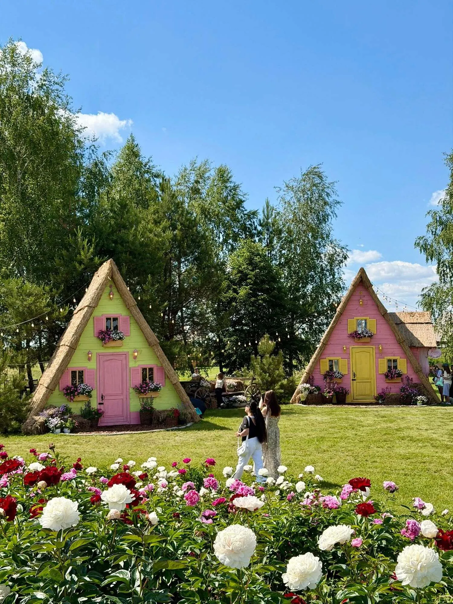 Краєвиди, що вразять: п'ять найкращих місць для фотосесій в Києві влітку 2026