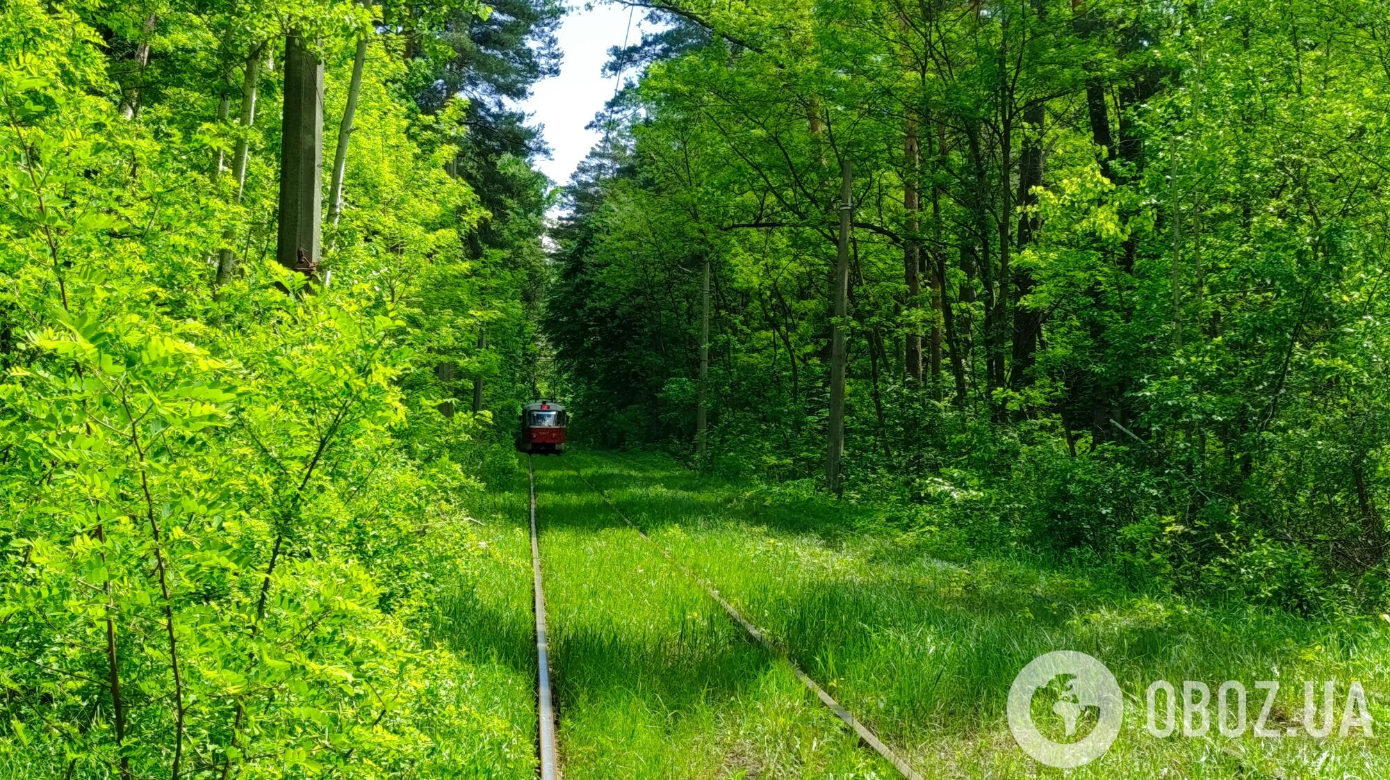 Краєвиди, що вразять: п'ять найкращих місць для фотосесій в Києві влітку 2026