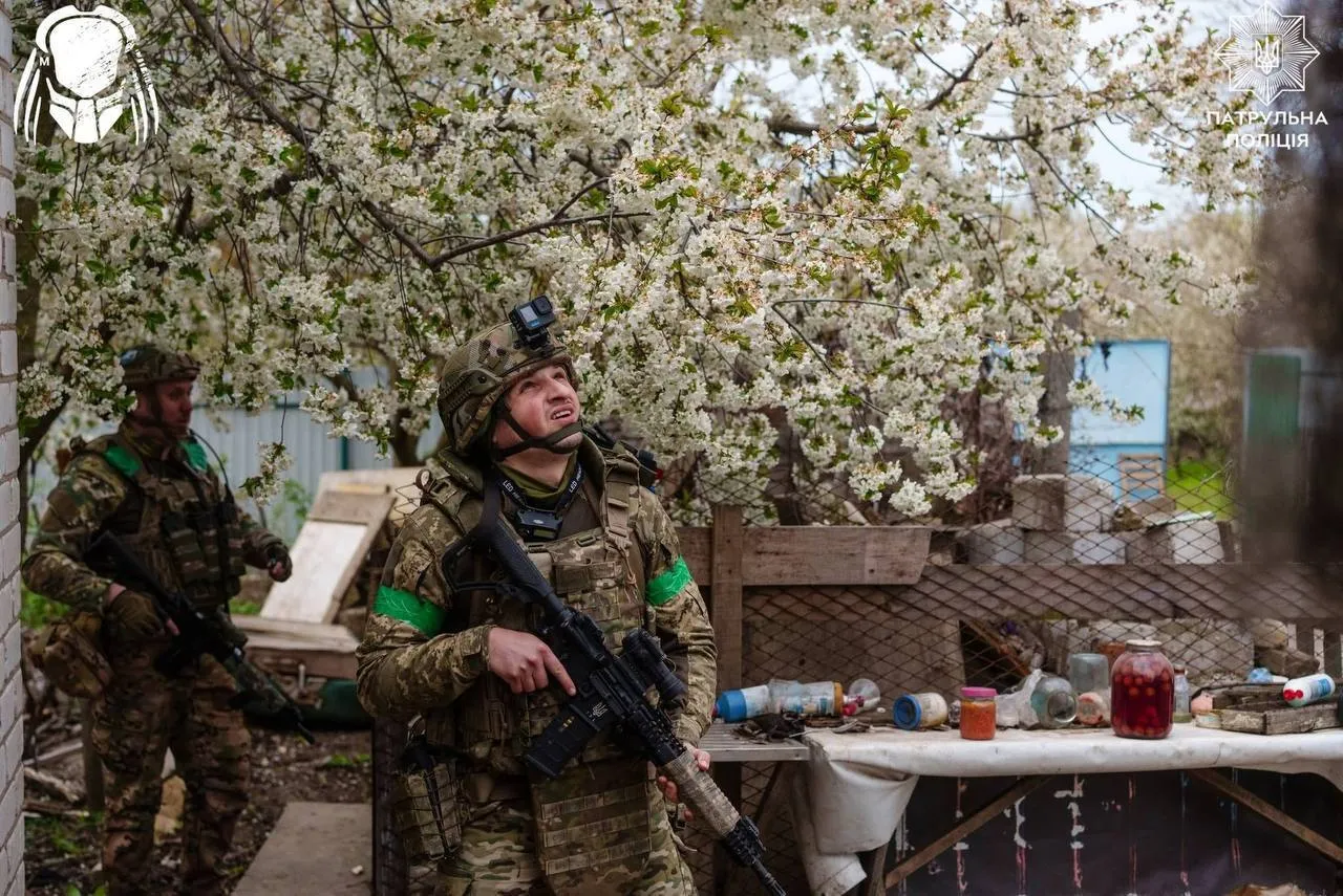 Тюльпани в оптоволокні і дерева над вирвами: краса природи Донеччини та жорстокі наслідки війни. Фото