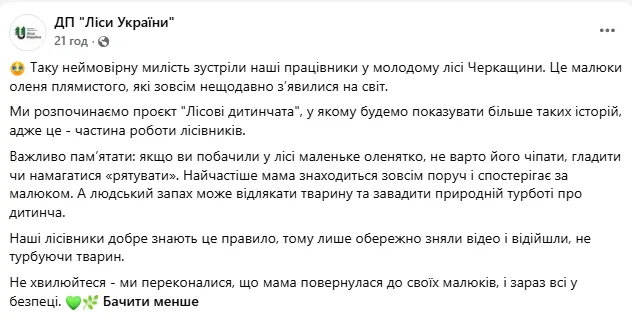 "Невероятно милые": в Черкасской области в лесу заметили малышей пятнистого оленя, кадры растрогали сеть. Видео