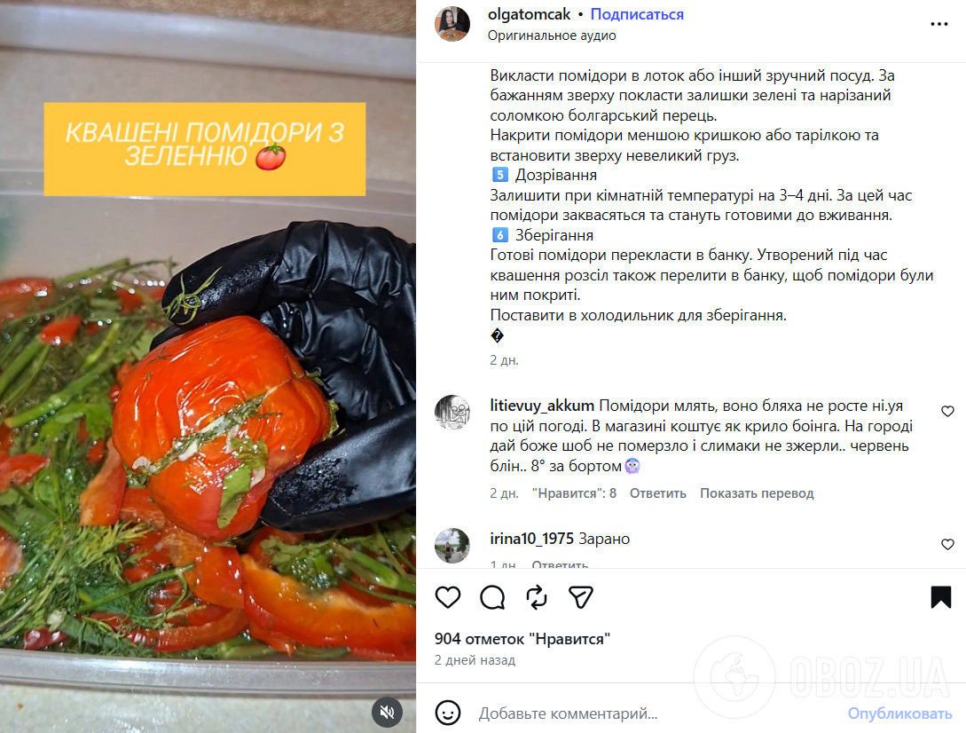 Вкусные маринованные помидоры с чесноком и зеленью: готовятся без уксуса