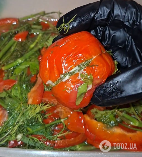 Вкусные маринованные помидоры с чесноком и зеленью: готовятся без уксуса