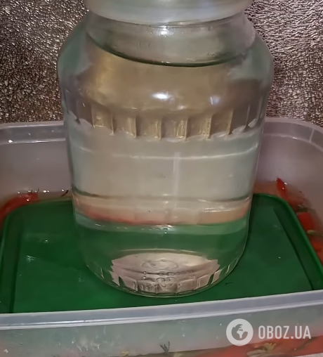 Вкусные маринованные помидоры с чесноком и зеленью: готовятся без уксуса