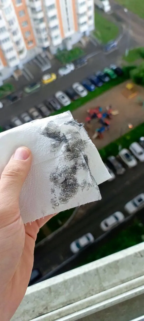 В Подмосковье пошел «фотодождь»