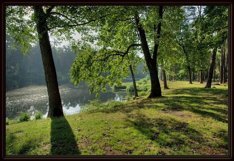 Пуща-Водиця відома природою, зеленими парками та озерами.