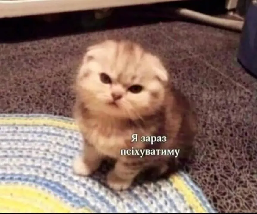 В комментариях поняли иронию СБС.