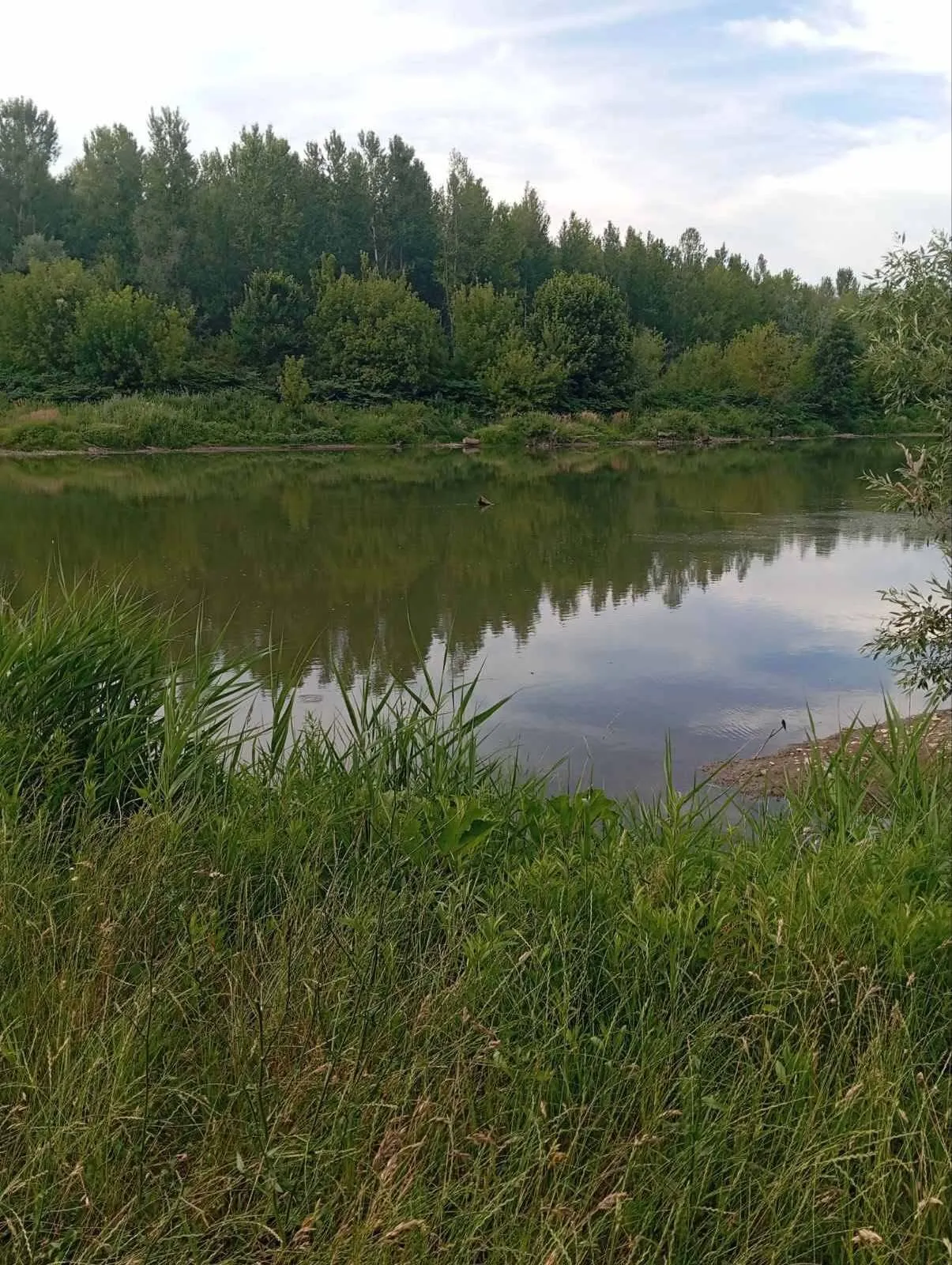 Опасная ситуация произошла в Береговском районе.