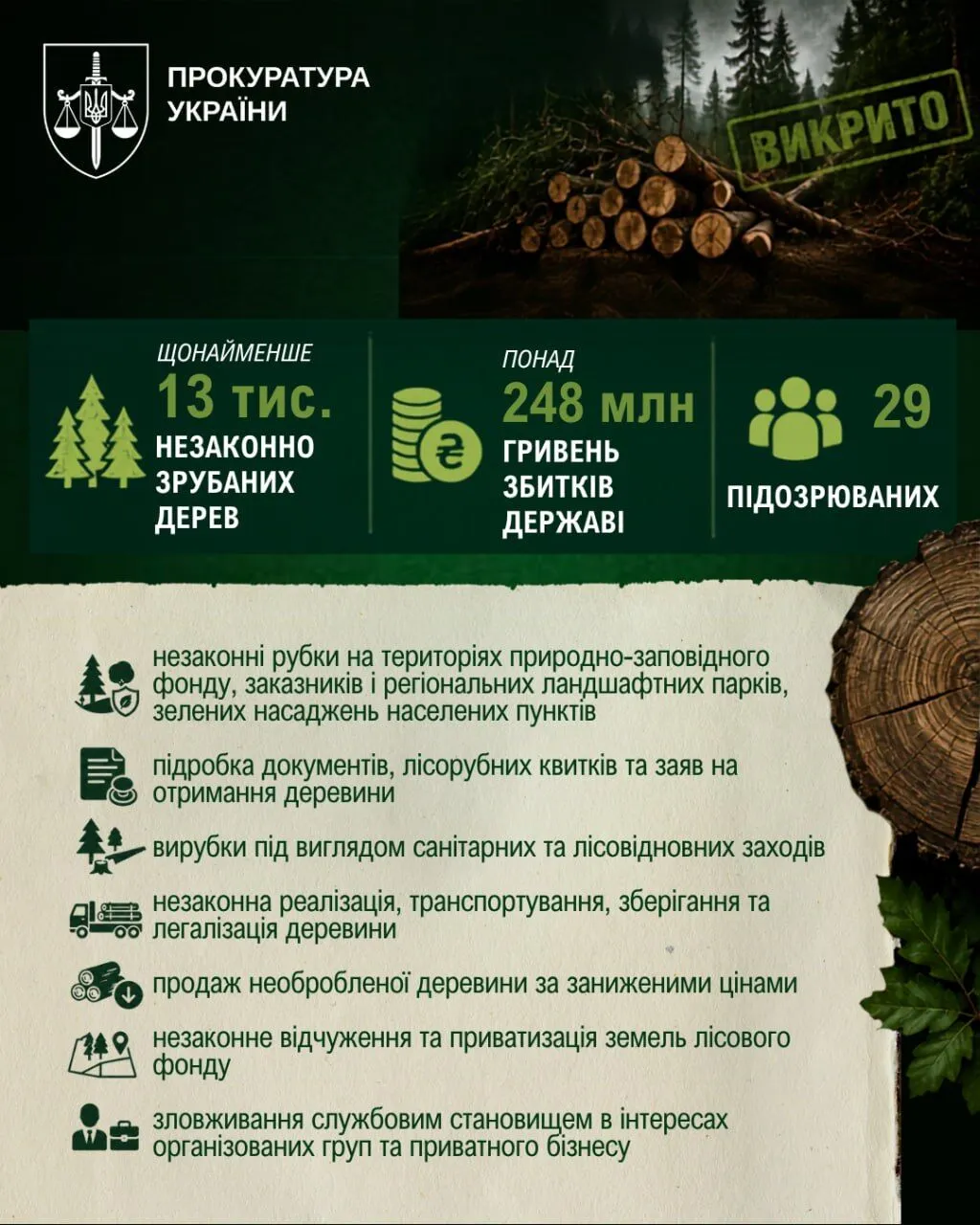Уничтожение лесов и хищение древесины: масштабы схемы