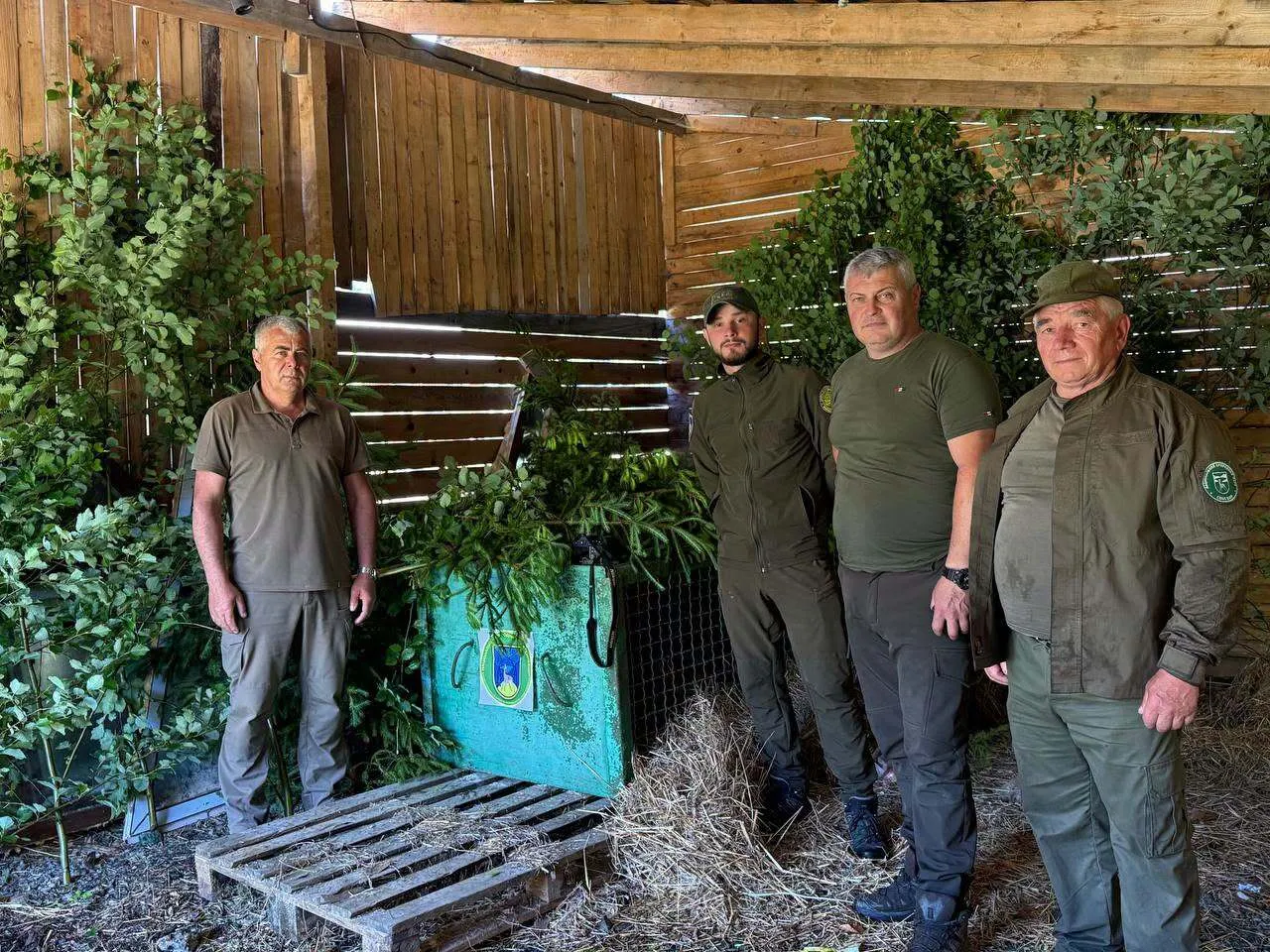 В Карпатах спасли двух медвежат, оставшихся без матери
