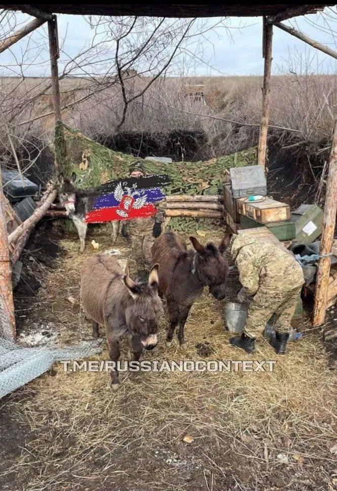 "Боевые ослы" в российской оккупационной армии