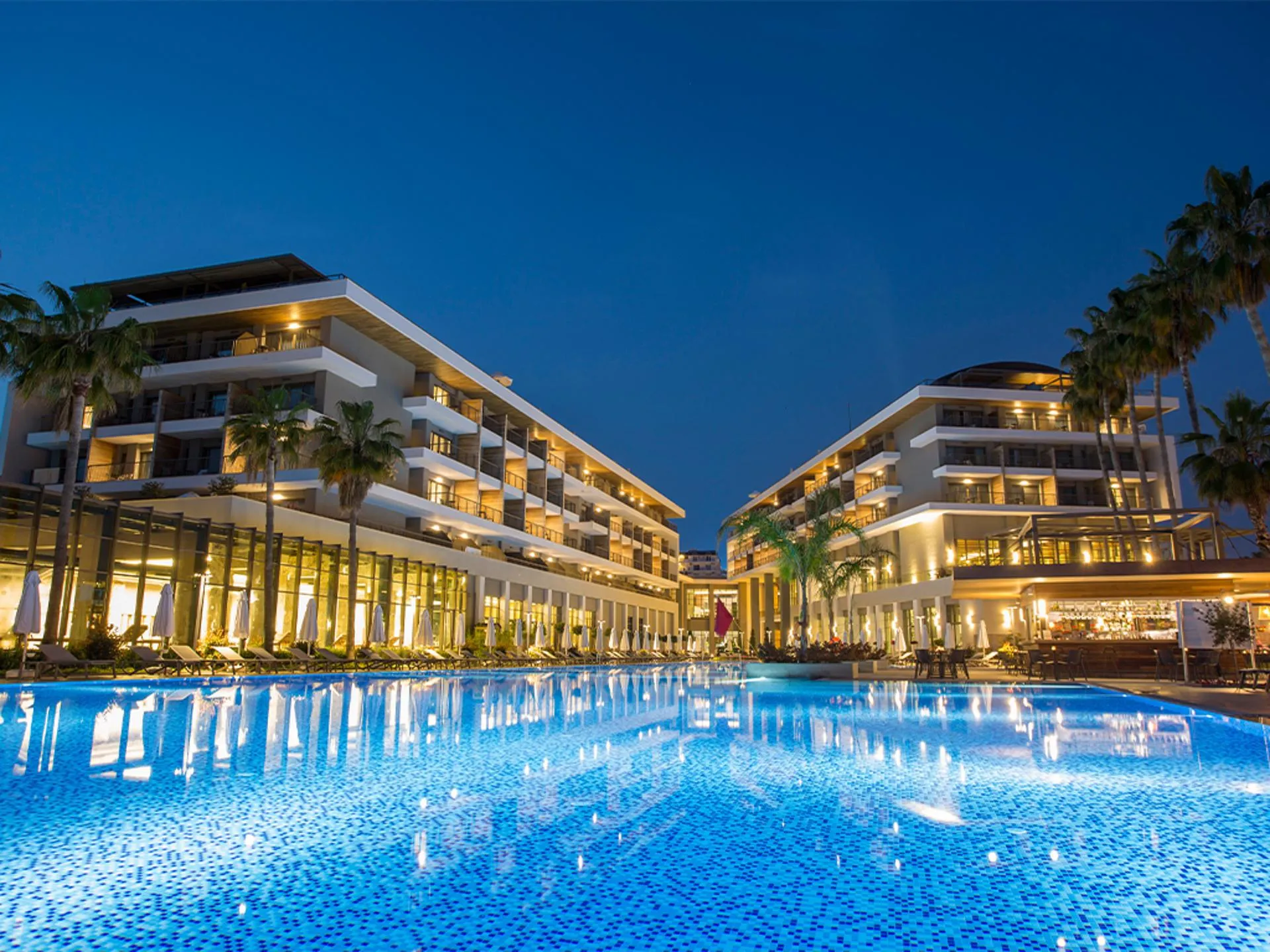 Acanthus Cennet Barut