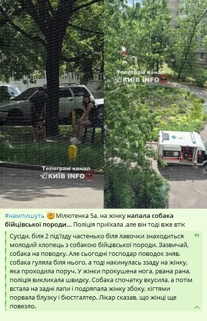 Инцидент произошел в Лесном массиве.
