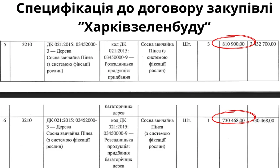 КП "Харьковзеленбуд" закупил 4 сосны "Пинеа" за 3,8 млн грн