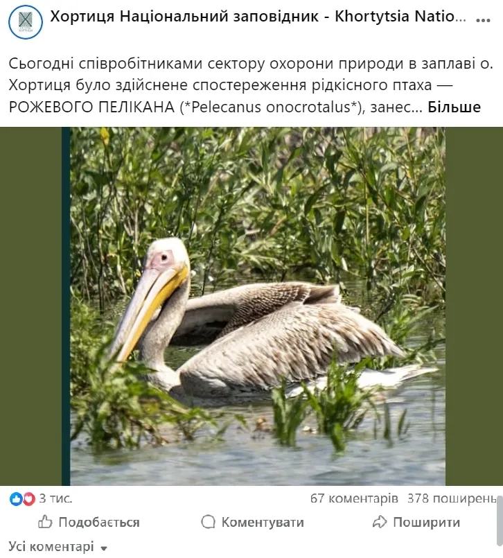 Сообщение заповедника «Хортица» в Facebook.
