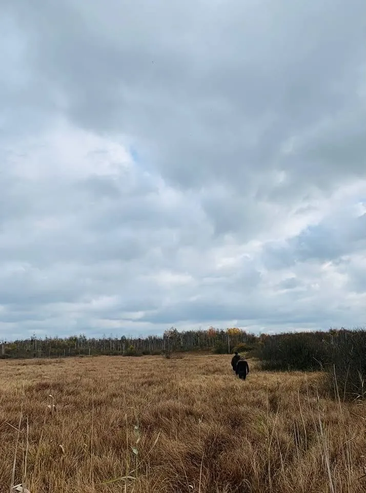 Озеро Навраття.