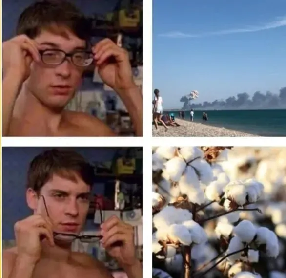 Мем з приводу "бавовни".