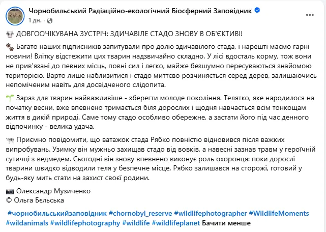 Скриншот повідомлення