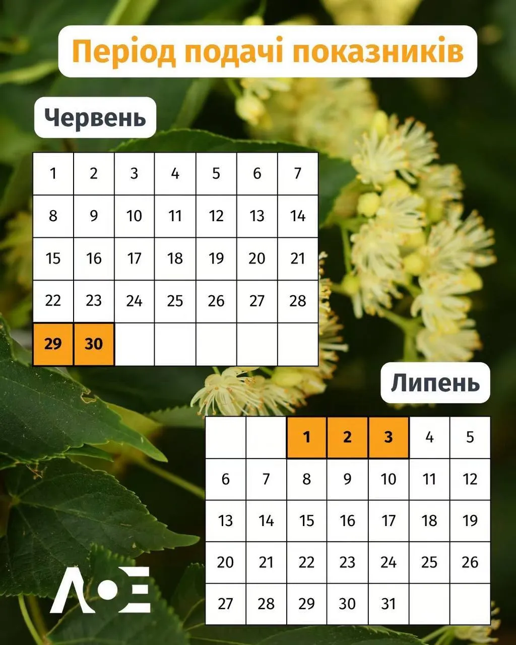 В какие дни передают показания счетчика электроэнергии