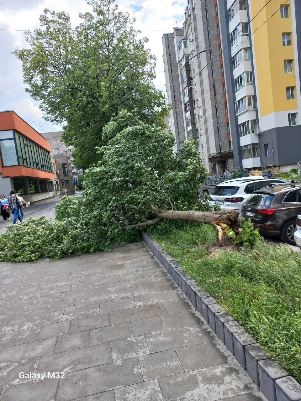 Ураган у Львові зриває дахи та валить дерева