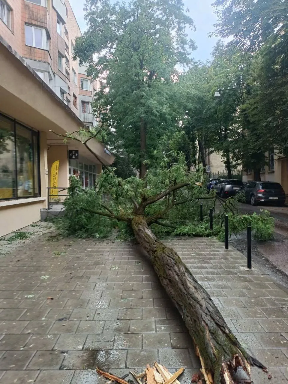 Буревій у Львові