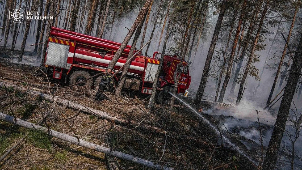 Станом на вечір 29 червня ліквідація займання продовжувалася.