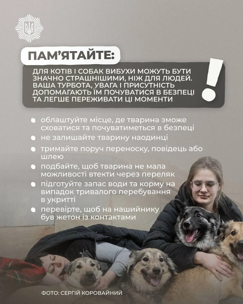 Як допомогти домашнім тваринам під час обстрілів: рекомендації кінологів