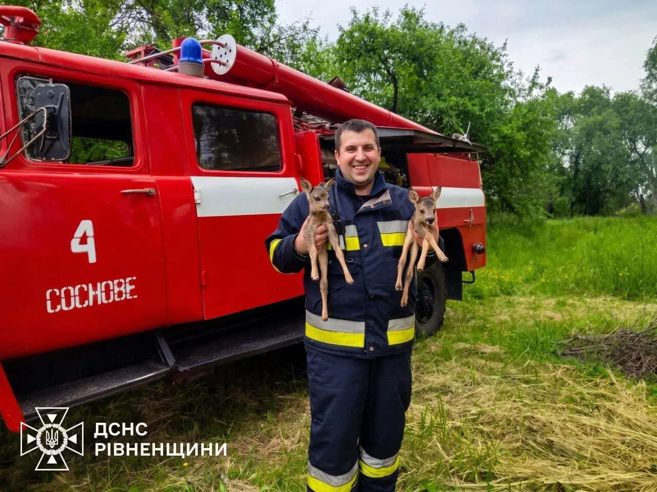 На Ривненщине пожарные спасли двух оленят из огненной ловушки. Фото