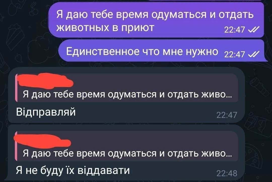 Душила котов, выкалывала глаза и снимала все на видео: в Павлограде разгорелся скандал из-за школьницы-живодерки
